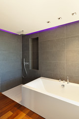 Modern apartment,.bath and shower