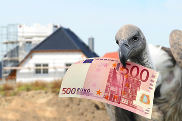 Geld 335