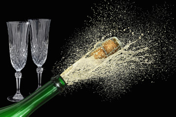 Sekt 5
