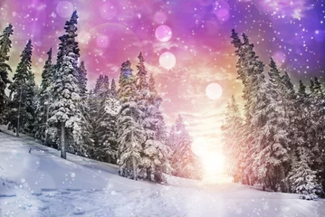 Acrylic prints Light Pink Winter landscape