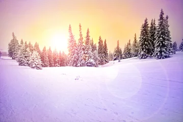 Zelfklevend Fotobehang Winterlandschap © Laszlo