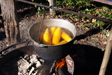 corn in the cauldron © Olha Rohulya