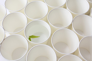 紙コップと一杯の水