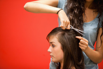 Fototapeta premium Student hairdresser cutting hair