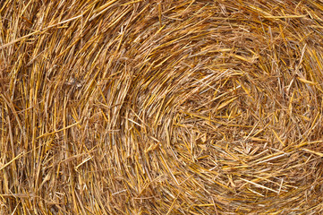 Texture of straw