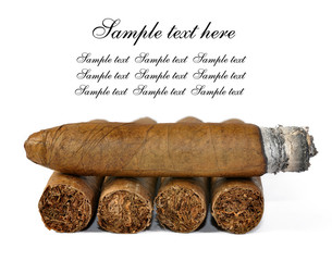 brown cigar burned on white background