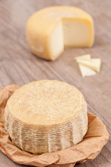 Pecorino Cheese