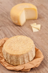 Pecorino Cheese