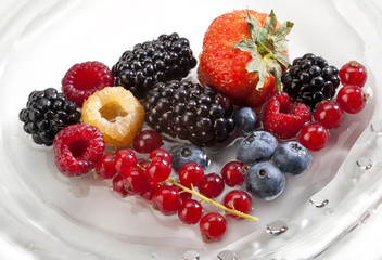fruit