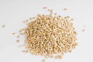 Wheat grains over white