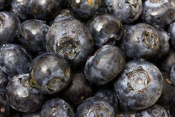 Blueberry