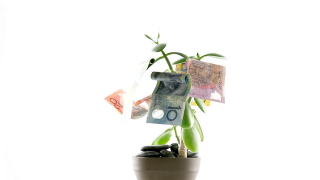 Rotating Money Tree - Continuous Growth