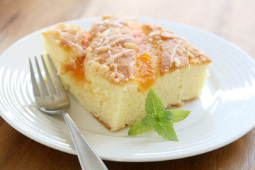Apricot Cake