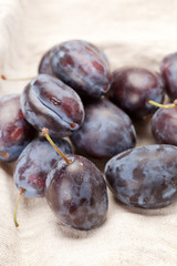 fresh plums