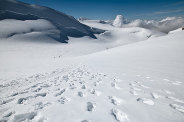 Footprint in the snow
