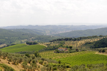 Fototapeta na wymiar Hills in Tuscany near Artimino
