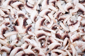 Fresh organic field mushrooms