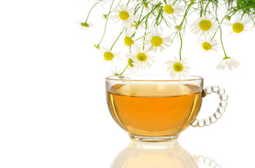 Cup of chamomile tea with fresh chamomilla flowers