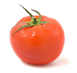 fresh tomatoes with water drops