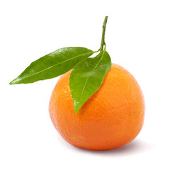 ripe mandarin orange with two green leaves