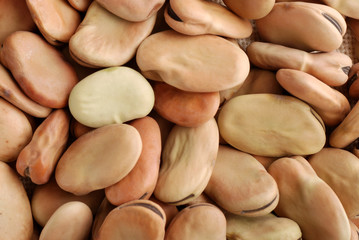 fave secche - quattro