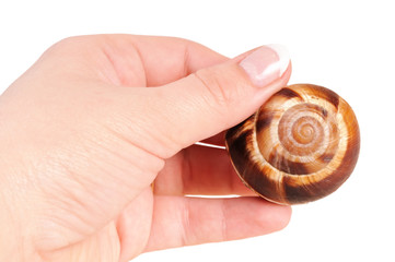 Bourgogne snails with garlic butter