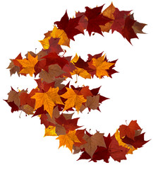 Euro sign fall leaf composition isolated
