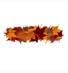 Minus sign multicolored fall leaf composition isolated