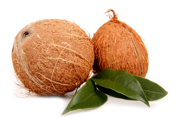 Cocco con foglie su sfondo bianco