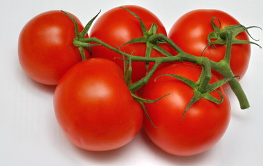 bunch of fresh vine tomatoes