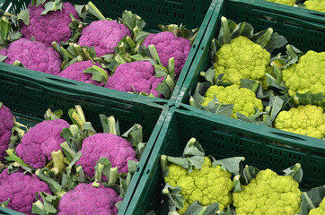 Bunter Blumenkohl auf dem Markt