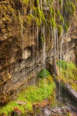 Filets d'eau