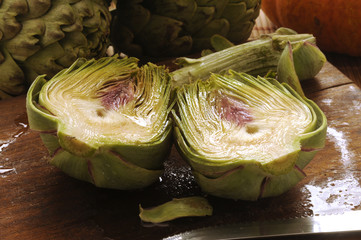 Cynara cardunculus