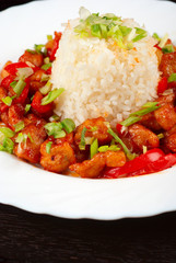 Pork meat and japanese rice