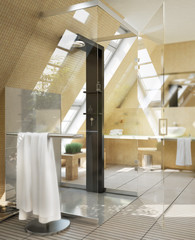 Shower designed in the bathroom