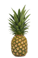 Fototapeta premium ripe pineapple