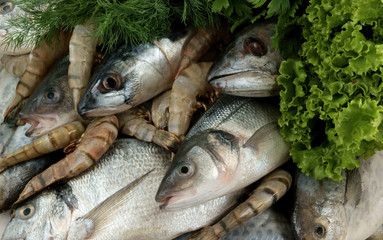Seafood with greens background