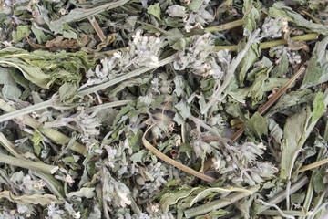 Mint herbal  tea background