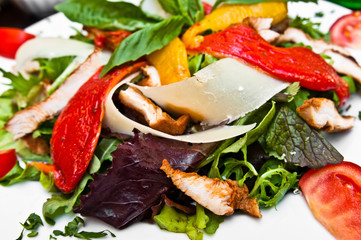 Fresh chicken salad with tomatoes