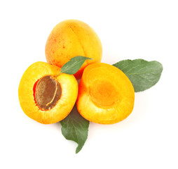 Apricots on white
