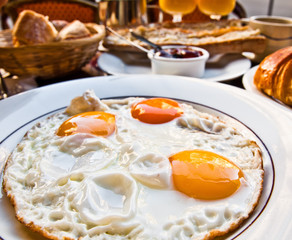 Prepared Egg - prepared egg under the sun