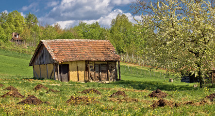 Fototapeta na wymiar Springtime view on old traditional cottage