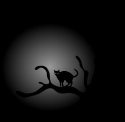 Black cat on tree in moonlight