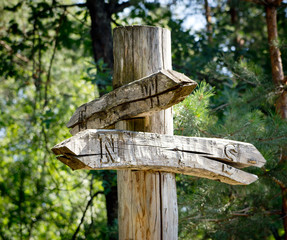 Old, made ​​from wood with a crack, index in old forest.