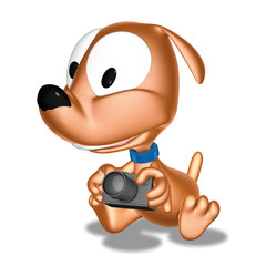 cagnolino e macchina fotografica © imagebos