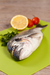Fresh gilthead