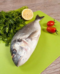 Fresh gilthead