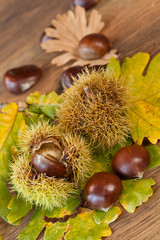 chestnuts