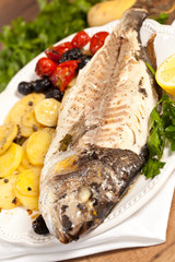 Gilthead fish