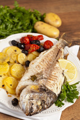 Gilthead fish